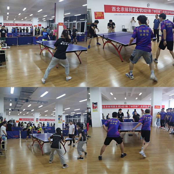 微信图片_20210604144345_副本.jpg